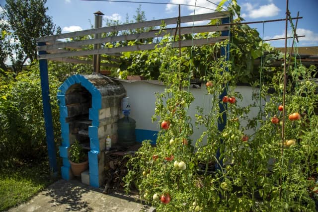 Jak wydzierżawić działkę od miasta bez problemów – krok po kroku i koszty Jak wydzierżawić działkę od miasta bez problemów – krok po kroku i koszty