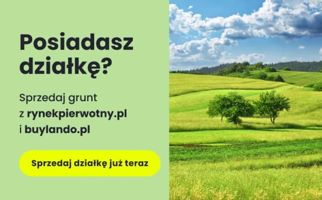 Ile kosztuje działka budowlana na wsi? Ceny, które mogą zaskoczyć Ile kosztuje działka budowlana na wsi? Ceny, które mogą zaskoczyć