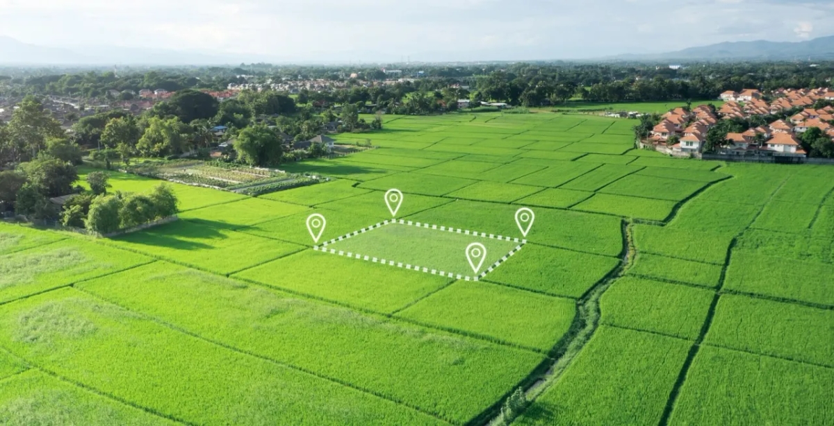 Czy można podzielić działkę rolną? Poznaj ważne przepisy i ograniczenia